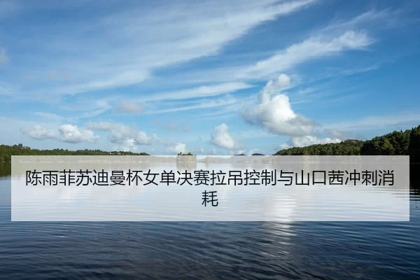 陈雨菲苏迪曼杯女单决赛拉吊控制与山口茜冲刺消耗