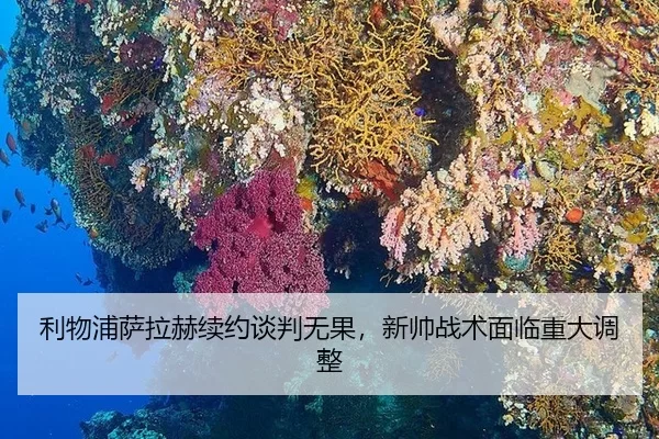 li-wu-pu-sa-la-he-xu-yue-tan-pan-wu-guo-xin-shuai-zhan-shu-mian-lin-zhong-da-tiao-zheng-2-145.jpg