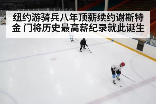 ice hockey rink